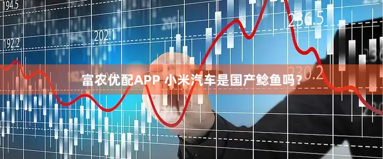 富农优配APP 小米汽车是国产鲶鱼吗？