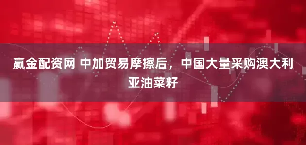 赢金配资网 中加贸易摩擦后,中国大量采购澳大利亚油菜籽