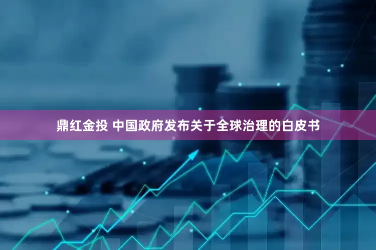鼎红金投 中国政府发布关于全球治理的白皮书